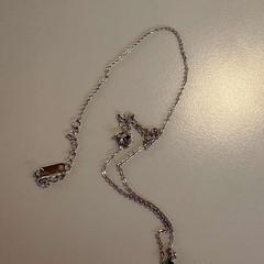 Ketting, zoals gemeld door Padualaan 99 met iLost