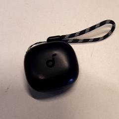 Oortjeshouder, rapporterat av Qbuzz ZHN med iLost