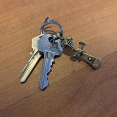 Sleutels, gerapporteerd met iLost