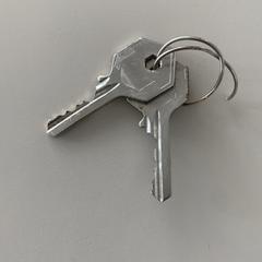 Key, as reported by Gemeente Wijk bij Duurstede using iLost
