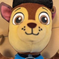 Knuffel Paw patrol, ha sido reportado por Familie Resort Molenwaard con iLost