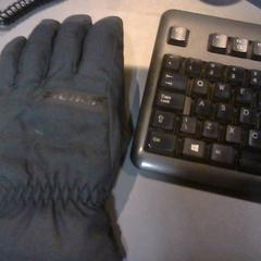 Handschuh, gemeldet von SnowWorld Landgraaf über iLost