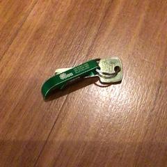 Clau Groen sleutelhanger, segons ha informat Van der Valk Hotel Emmeloord mitjançant iLost