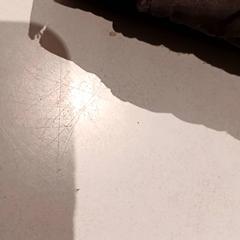 Children's jacket, as reported by De Efteling using iLost