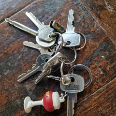 Sleutelbos, ha sido reportado a iLost