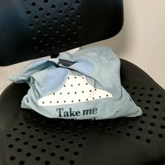 Bag, as reported by Arriva Twents using iLost