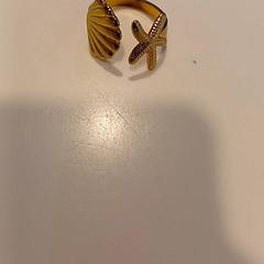 Anillo, ha sido reportado por RAI Amsterdam con iLost