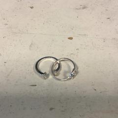 Anillos Zilver, ha sido reportado por Artis con iLost