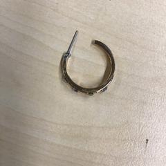 Earring, as reported by Gemeente Nijmegen using iLost