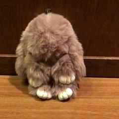 Knuffel Roze konijn, rapporterat av Van der Valk Hotel Emmeloord med iLost