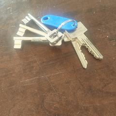 sleutelbos, segons s'ha informat a iLost