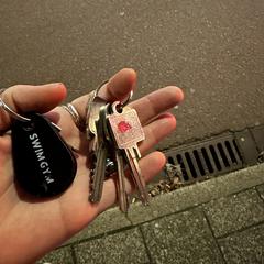 Keys and alarms, as reported to iLost