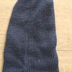 Beanie, amint azt EBS OV Poeldijk az iLost segítségével jelentette.