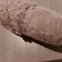 صفعة محبوبة، كما تم الإبلاغ عنه بواسطة De Efteling عبر iLost