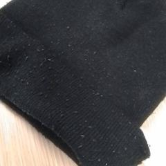 Beanie, as reported by Qbuzz Fryslân using iLost