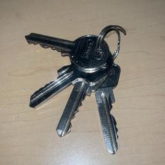 Clé, a été signalé par Jaarbeurs utilisant iLost