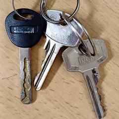 Sleutelbos, zoals gemeld door Qbuzz GD Groningen Peizerweg met iLost