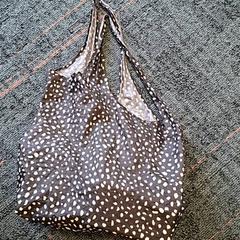 가방, iLost를 사용하여 Connexxion Amstelveen에 보고됨