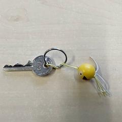 Nøkkel, som rapportert av Centraal magazijn ved bruk av iLost