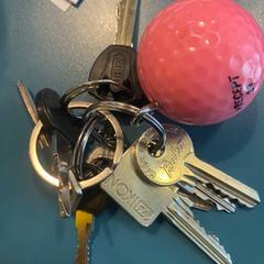 Schlüssel, gemeldet von Room Mate Bruno über iLost