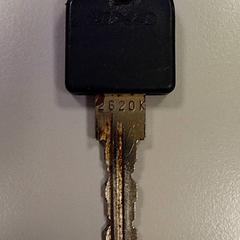 Fahrradschlüssel, gemeldet von Vrije Universiteit Amsterdam über iLost