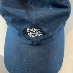 İLost kullanarak Madurodam tarafından bildirildiği gibi Pet