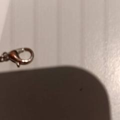 Karkötő, amint azt De Efteling az iLost segítségével jelentette.