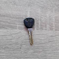 Chiave, come riportato da EBS Tramplein utilizzando iLost