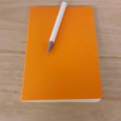 Notitieboekje, as reported by IKEA Breda using iLost