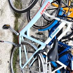 Bici da donna Giant, come riportato da Stadswerk072 utilizzando iLost