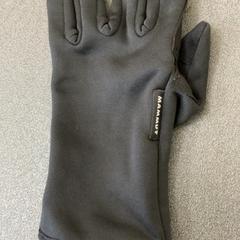 Gant schwarz, a été signalé par Schönbrunn "Group Center" utilisant iLost