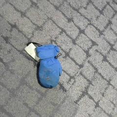 Eskularrua, gisa salatu by Relais Azalys iLost erabiliz