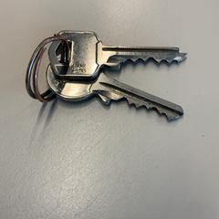 Kľúče, ako bolo nahlásené Gemeente Wijk bij Duurstede pomocou iLost