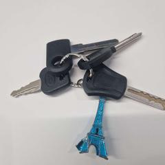 Keychain 4 sleutels, as reported by Stad Hasselt using iLost