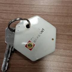 Nøkkel Metaalnsleutel met sleutelhanger, som rapportert av Arriva West-Brabant ved bruk av iLost