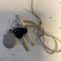 Sleutelbos, zoals gemeld door Artis met iLost