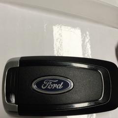 Chave do coche Autosleutel Ford/van een bus, segundo informou Haaglanden Medisch Centrum usando iLost