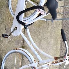 Damcykel Rivel, rapporterat av Stadswerk072 med iLost