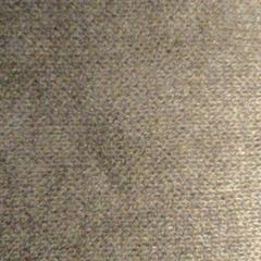 Xal Bruin, segundo informou TivoliVredenburg usando iLost