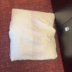 Coixí pilloe, segons ha informat ibis Styles Rotterdam Ahoy mitjançant iLost