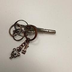سلسلة المفاتيح، كما تم الإبلاغ عنه بواسطة ilévia عبر iLost