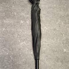 Ombrello zwart, come riportato da Qbuzz GD Groningen HS utilizzando iLost