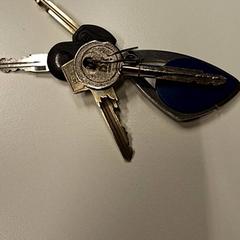 Giltza-giltza, gisa salatu by Gemeente Hilversum iLost erabiliz