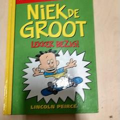 Llibre Niek de groot boek, segons ha informat IKEA Zwolle mitjançant iLost