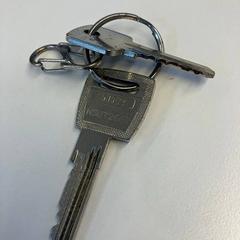 Clau, segons ha informat Gemeente Rijswijk mitjançant iLost
