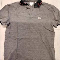 Polo Grijs, a été signalé par Gemeente Puurs-Sint-Amands utilisant iLost