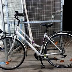 Sykkel Olmo Wit/paars, som rapportert av Fietsdepot Hasselt ved bruk av iLost