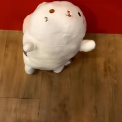 Mysig leksak, rapporterat av Arriva Limburg Noord med iLost