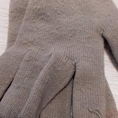 Gloves Beige, as reported by Qbuzz Fryslân using iLost