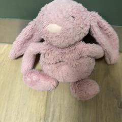 Knuffel Roze konijn, iLost를 사용하여 Pathé Haarlem에 보고됨